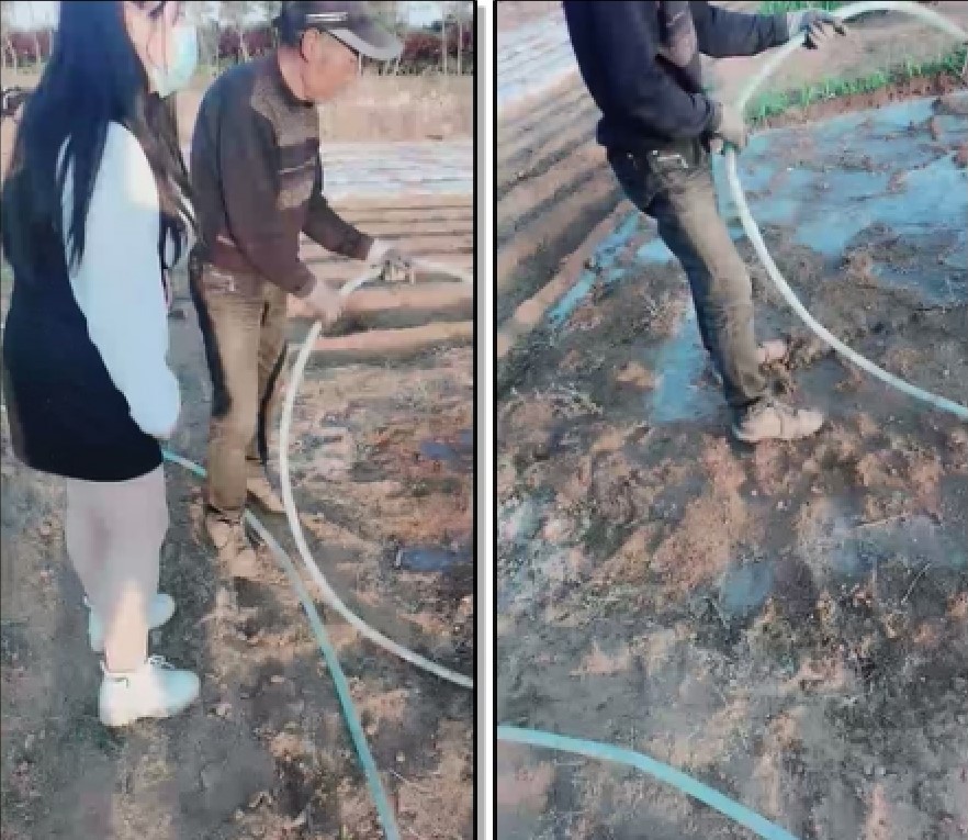 【职业约屌人】，东北乡村猎艳，地里干活的大叔们有福了，骚逼勾搭，菜地里无套开干，赚到了