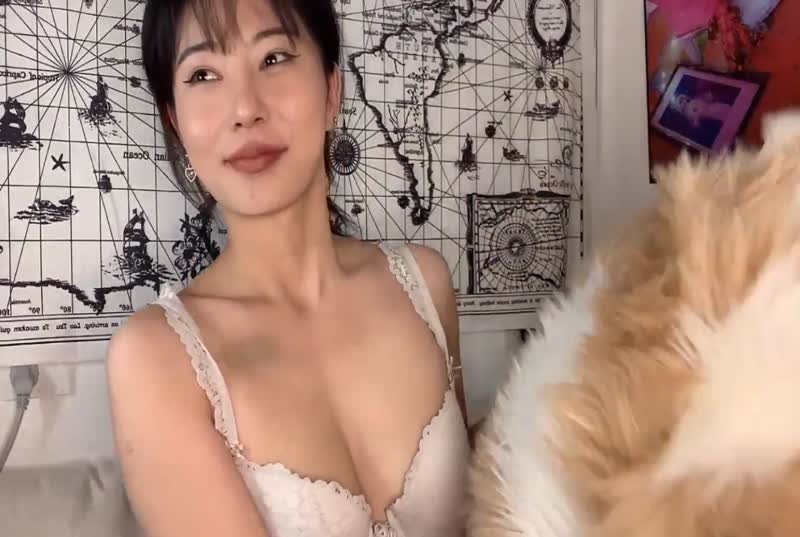 袁莉莉/猫老师性感合集11