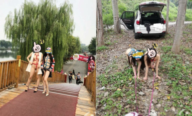 頂級調教大神『帝都金領S』最新調教視頻，雙飛姐妹花 商場露出 人前調教，別人眼裡的女神在金主面前就是條小母狗 (2)