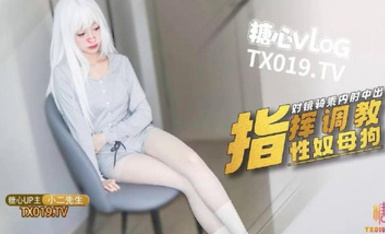 漂亮白絲清純美眉【小二先生】自己扒開進去 啊太爽了再快一點操死我 上位騎乘啪啪打樁 被大肉棒無套輸出 內射